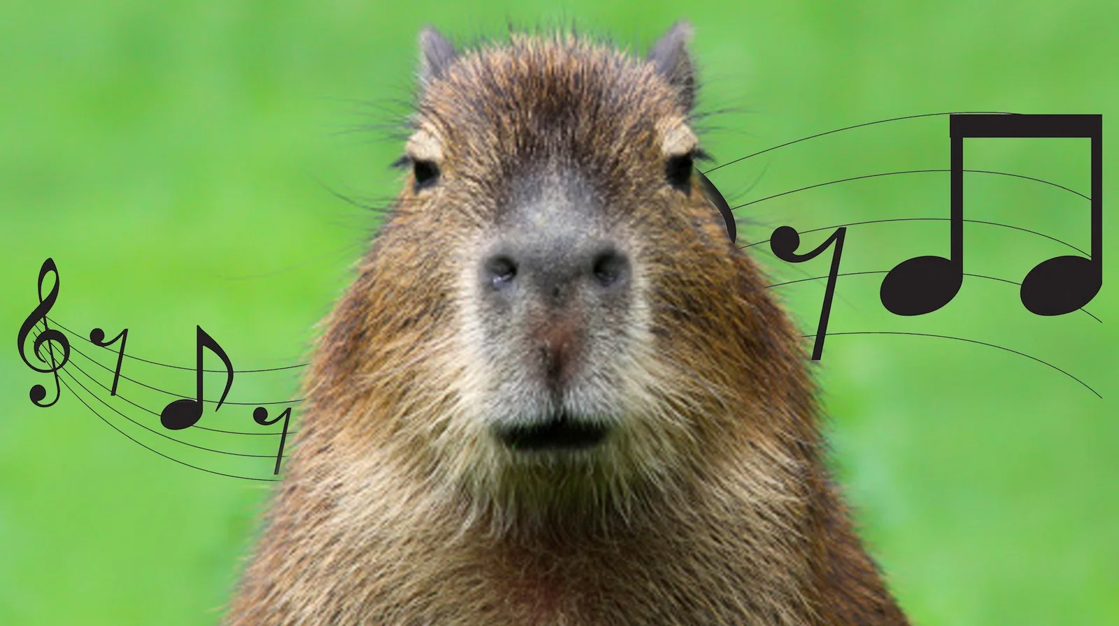 The iconic capybara vibing with musical notes.