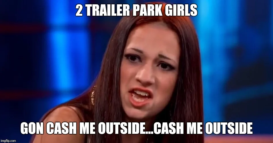 Trailer Park variation of the meme.