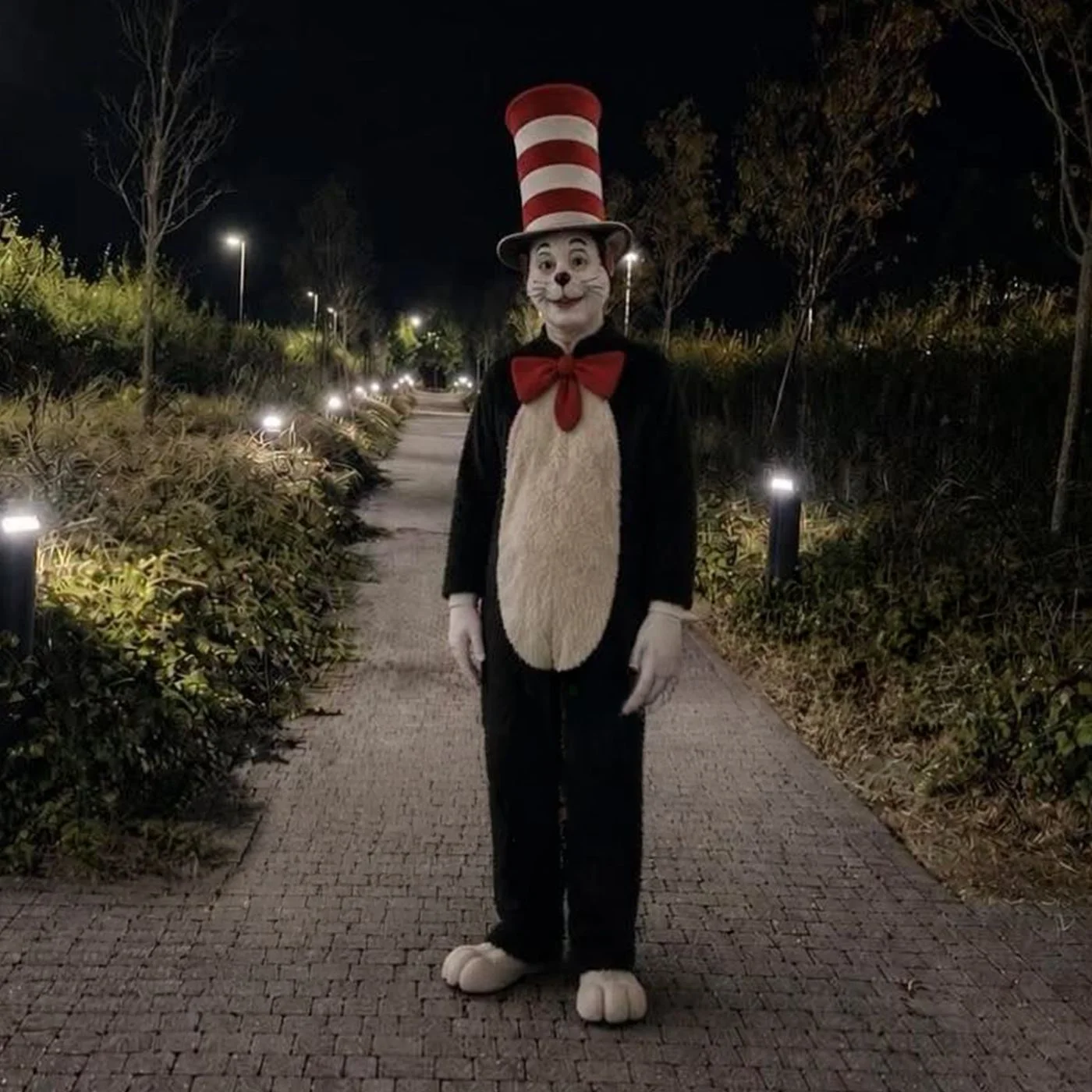 The full-length version of the eerie 'Cat in the Hat' photo that became the defining image of the viral serial killer trend.