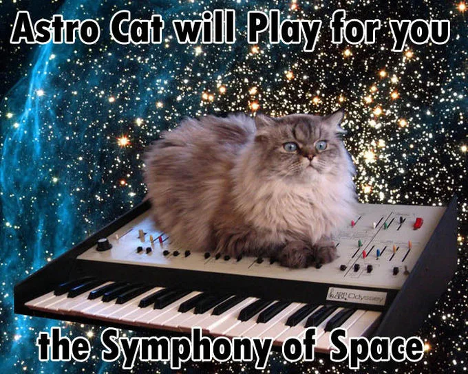 A macro-style version titled 'Astro Cat will Play for you the Symphony of Space.'