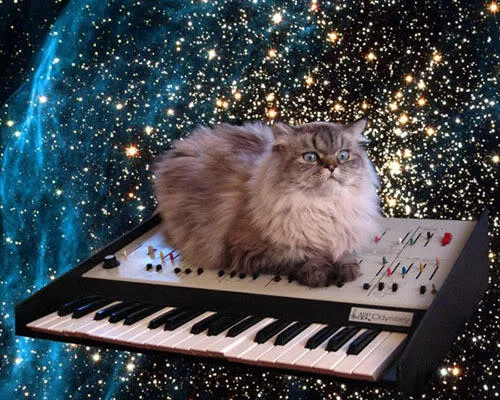 A smaller variant of the iconic cat-on-a-keyboard-in-space photo.