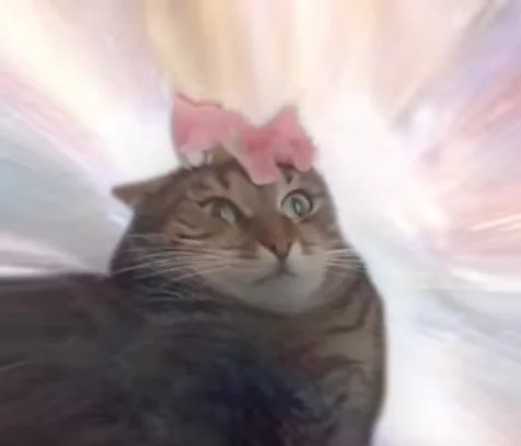 The iconic 'cat transcendence' image, showing a tabby cat with a slice of ham on its head against a heavenly light-burst edit.