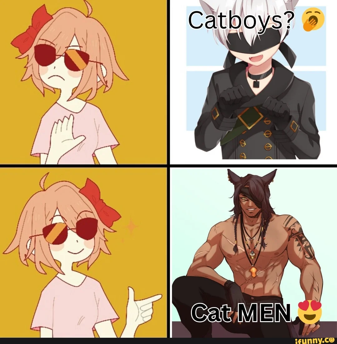 Four-panel meme grid with humanoid catboys in different anime and manga art styles labeled 'Catboys?' and 'Cat MEN'