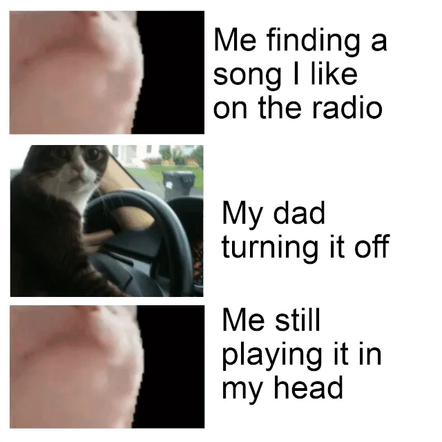 Three-panel Catjam about radio favorite song.