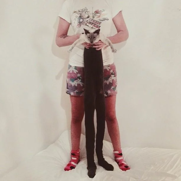 A woman poses with her cat whose elongated body appears to be wearing full-length black tights, exemplifying the visual gag at the heart of the meme.