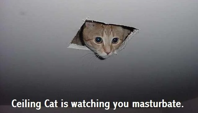 Quintessential Ceiling Cat with signature caption.