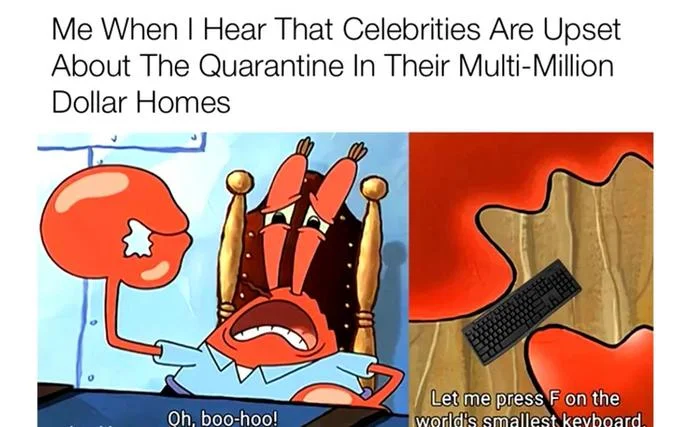 Reaction to celebrity quarantine complaints.