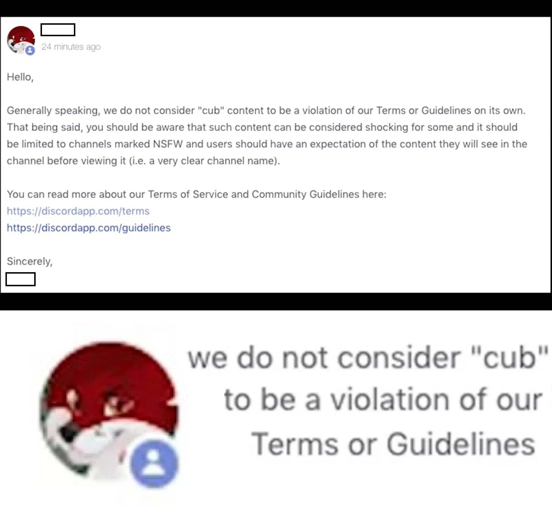 The leaked Discord support reply about 'cub' content that sparked the #ChangeDiscord backlash in February 2019.