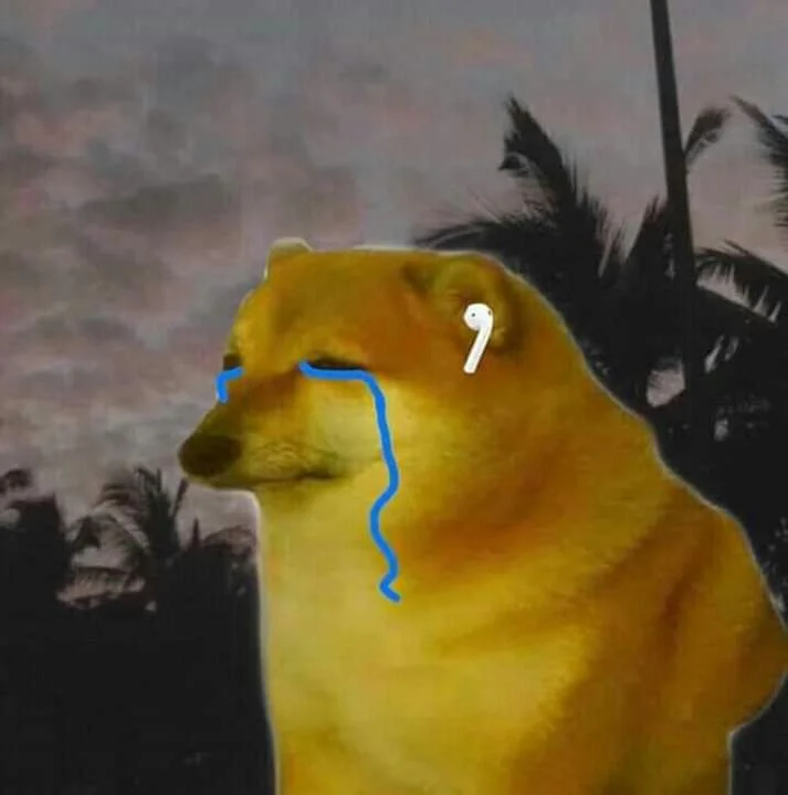 Cheems expressing confusion and sadness.