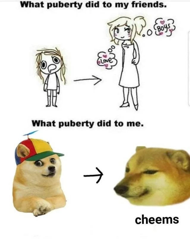 Cheems