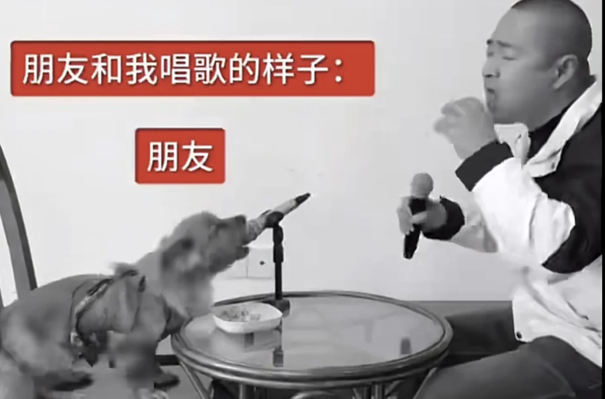 A screenshot from the original viral clip showing the man and his dog 'duetting' into microphones, the source of the 'Chinese Dog Singing' meme.