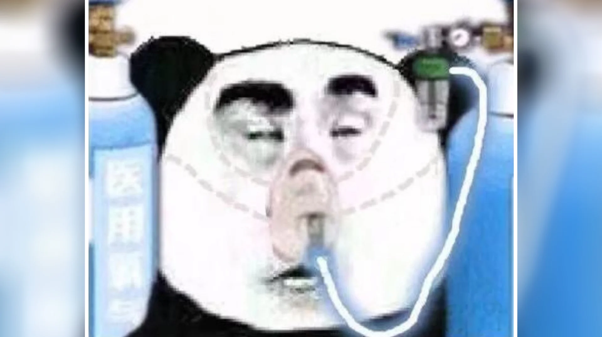 The primary 'Chinese Panda Wearing Oxygen Mask' reaction image, a widely circulated Chinese meme edit that pastes a man's suffocating expression onto a panda head.