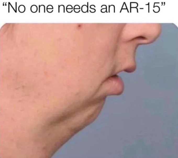 A photographic chinlet meme captioned 'No one needs an AR-15,' typical of the format's use to mock perceived opinions.