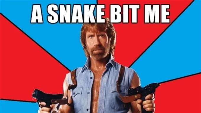 Chuck Norris Facts