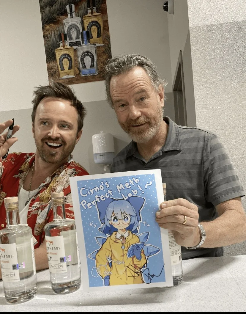 Breaking Bad stars Bryan Cranston and Aaron Paul holding a fan parody artwork playing on the meme's title.