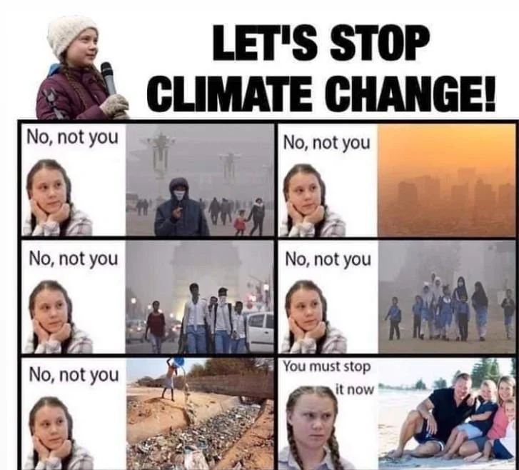 Greta Thunberg 'No, not you' climate anxiety meme rejecting inadequate environmental responses
