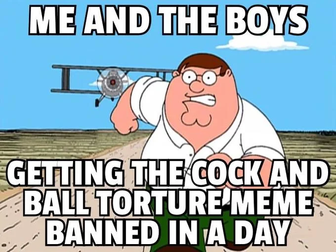 A Peter Griffin biplane image macro joking that the CBT meme trend would be banned within a day of its rise.