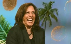 The visual template for the coconut tree meme.