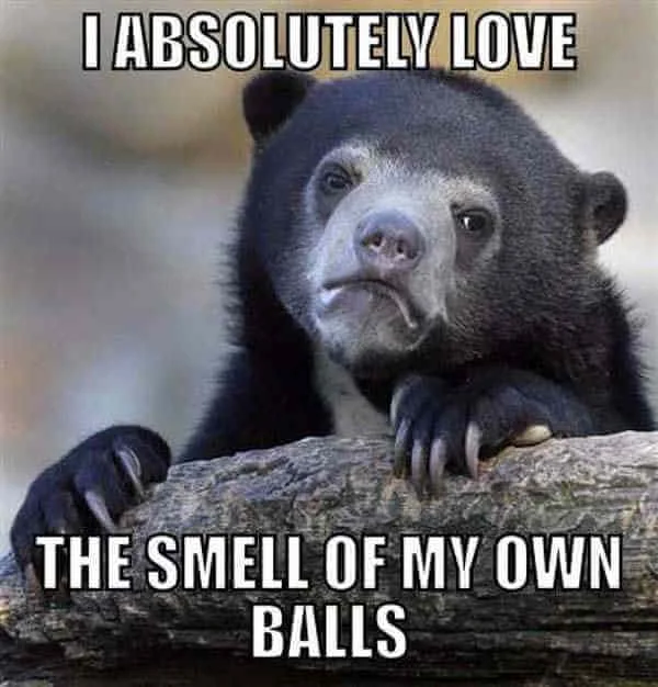 Crude but relatable confession format.