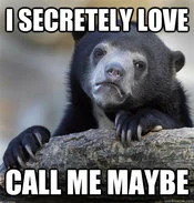 Confession Bear