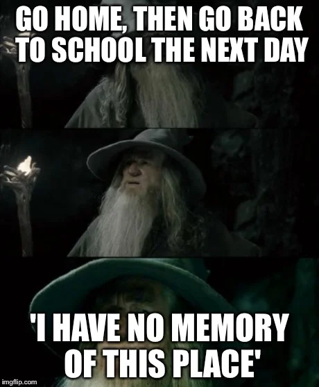 Confused Gandalf
