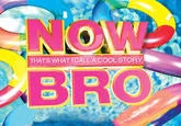 Cool Story Bro animal variant featuring an unimpressed husky dog.