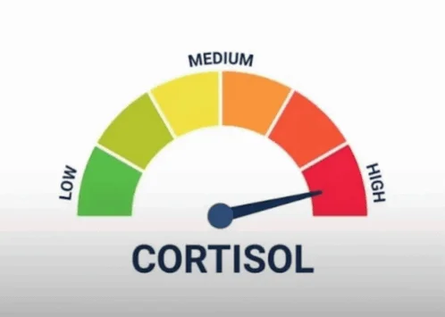 Basic cortisol level gauge meter meme template.