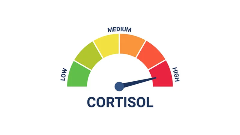 The definitive cortisol level meter meme template.
