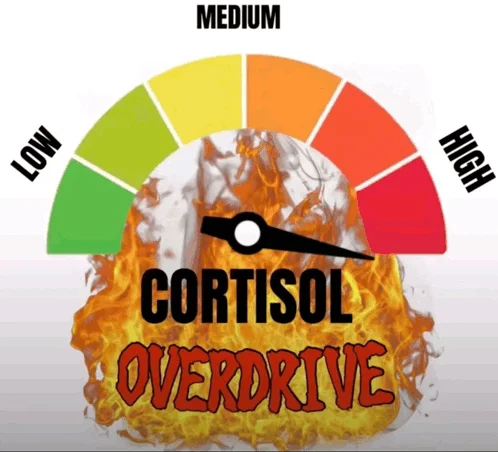 Extreme cortisol meme with fire effects depicting overwhelming stress.
