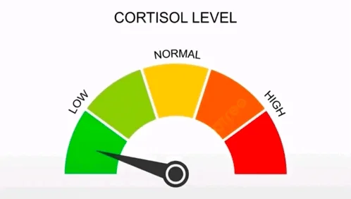 Standard cortisol meter format with clear stress range hierarchy.