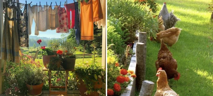 Cottagecore aesthetic with traditional laundry and garden chickens.