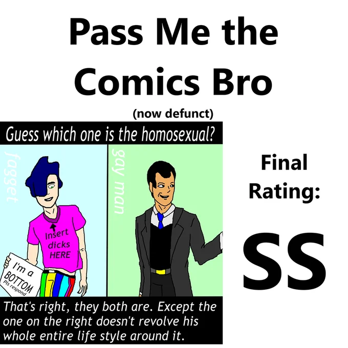 A satirical 'Pass Me the Comics Bro' review lampooning a moralizing webcomic, exemplifying the counter-signal format's mockery of preachy political comics.