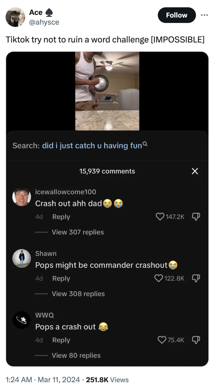 A viral tweet highlighting how TikTok commenters ran the word 'crashout' into the ground under a trending video.