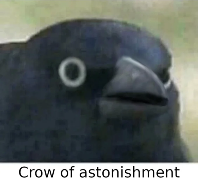 A variant meme featuring the grackle with an open beak, captioned 'Crow of astonishment'.
