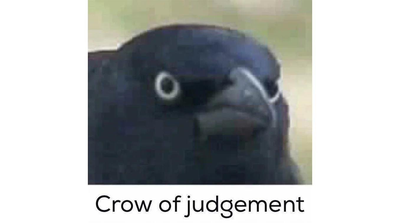 The original 'Crow of judgement' image, showing a close-up of a common grackle with its piercing pale-ringed eyes.