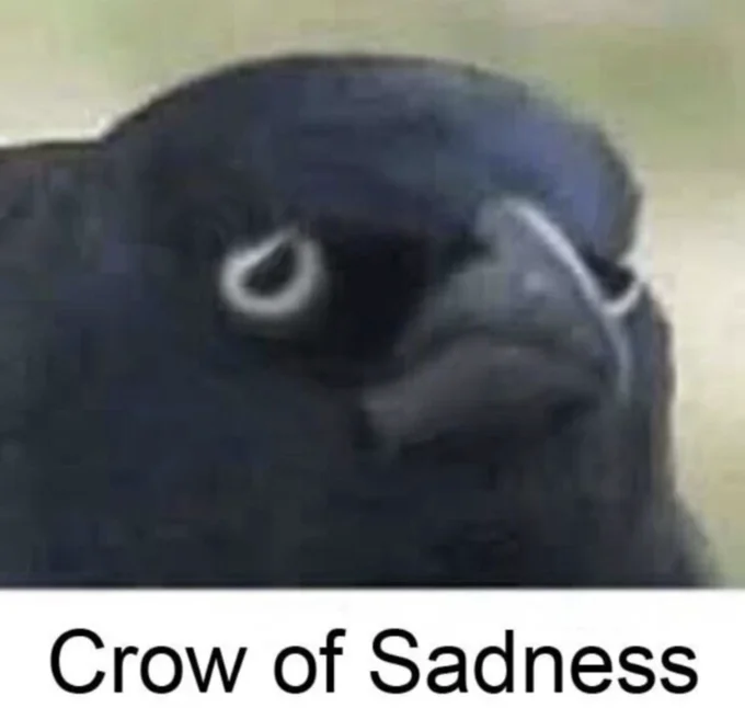 A variant edit of the meme featuring drooping eyelids captioned 'Crow of Sadness'.