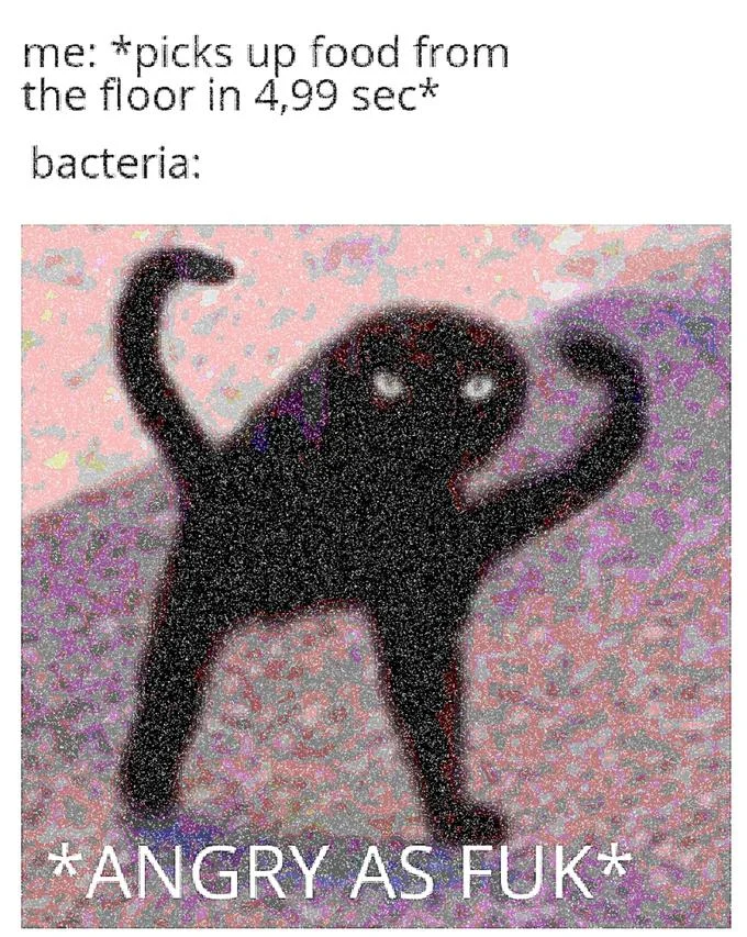 English-language deep-fried variant of the Cursed Cat used for the five-second food rule joke.