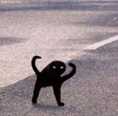 A widely-circulated lower-resolution copy of the original Cursed Cat photograph.