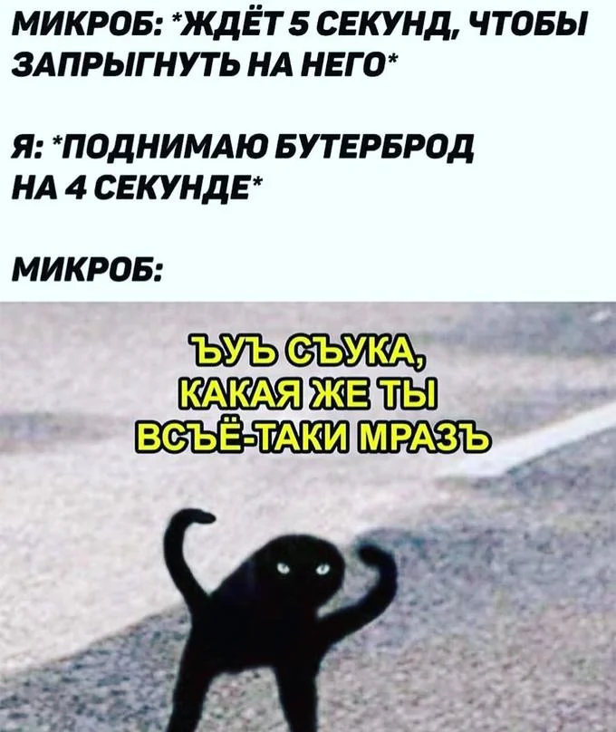Russian remix of the Cursed Cat applied to the five-second food rule, with the microbe cursing at the eater for beating it to the bite.