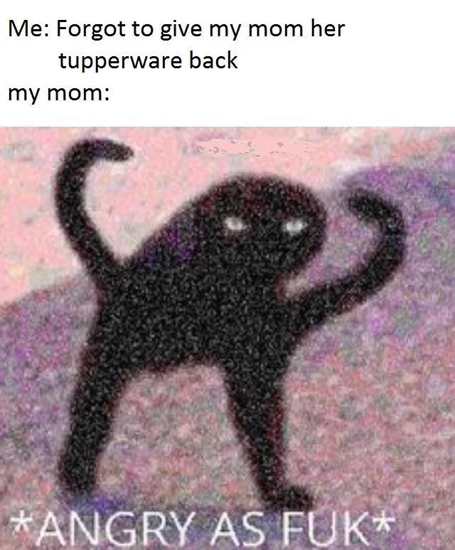 Popular Cursed Cat variant depicting a mother's fury over unreturned Tupperware, showcasing the meme's use as a reaction image.