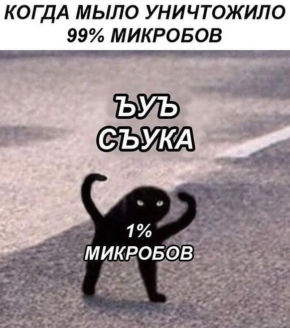 A popular Russian-language remix pairing the Cursed Cat with the caption "Ъуъ Съука," representing the germs that survive antibacterial soap.