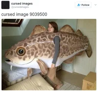 Folded jeans anatomy cursed Reddit post.