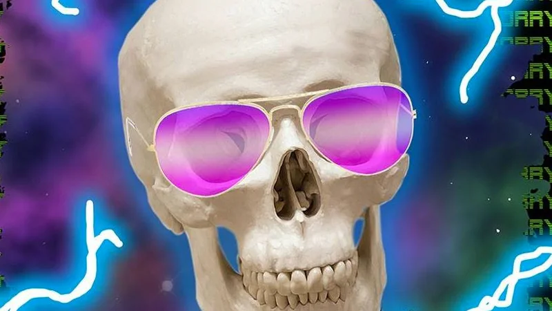 The iconic da share z0ne branding image featuring a skull in aviator sunglasses, the visual signature of the absurdist meme account.