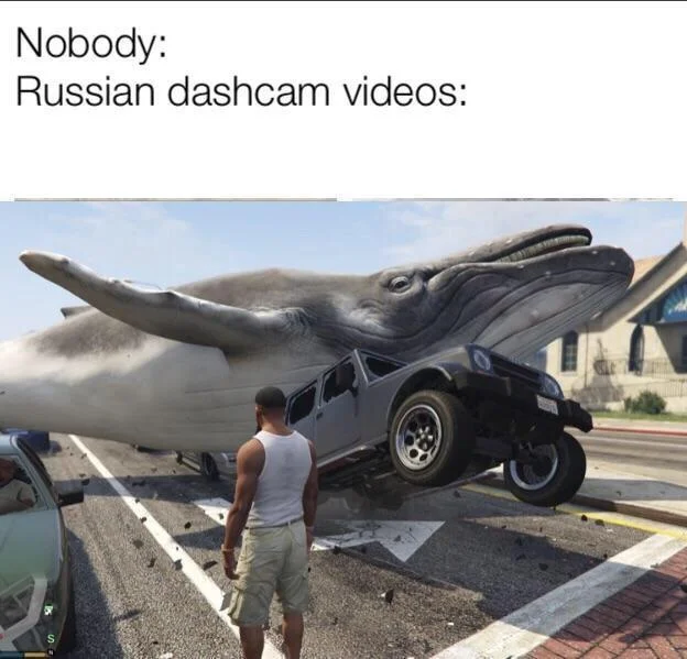 A GTA V glitch featuring a whale on a car, used to poke fun at the absurdity of Russian dashcam footage.