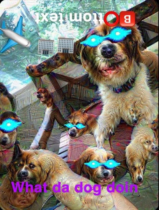 Deep Fried Memes