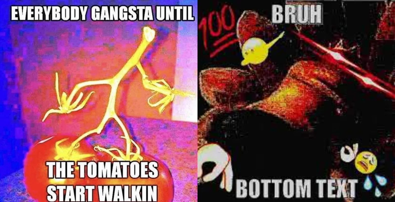 Deep Fried Memes