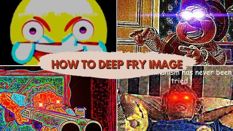 Educational collage demonstrating deep fried meme techniques.