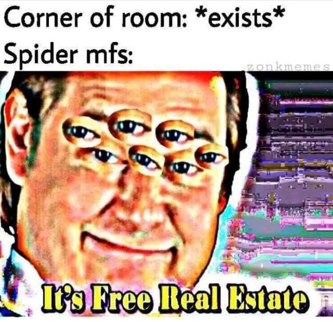 Deep fried Spider-Man free real estate meme.