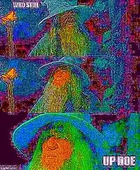Deep Fried Memes