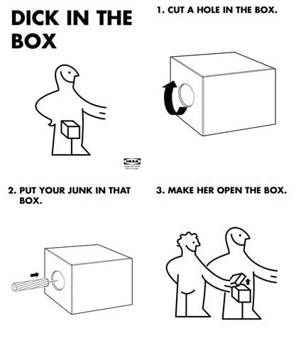 A popular IKEA-style parody instruction diagram illustrating the three-step process from the 'Dick in a Box' song lyrics.